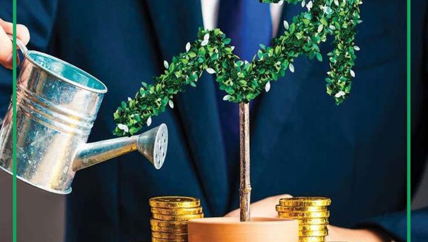 Risk Management and Diversification